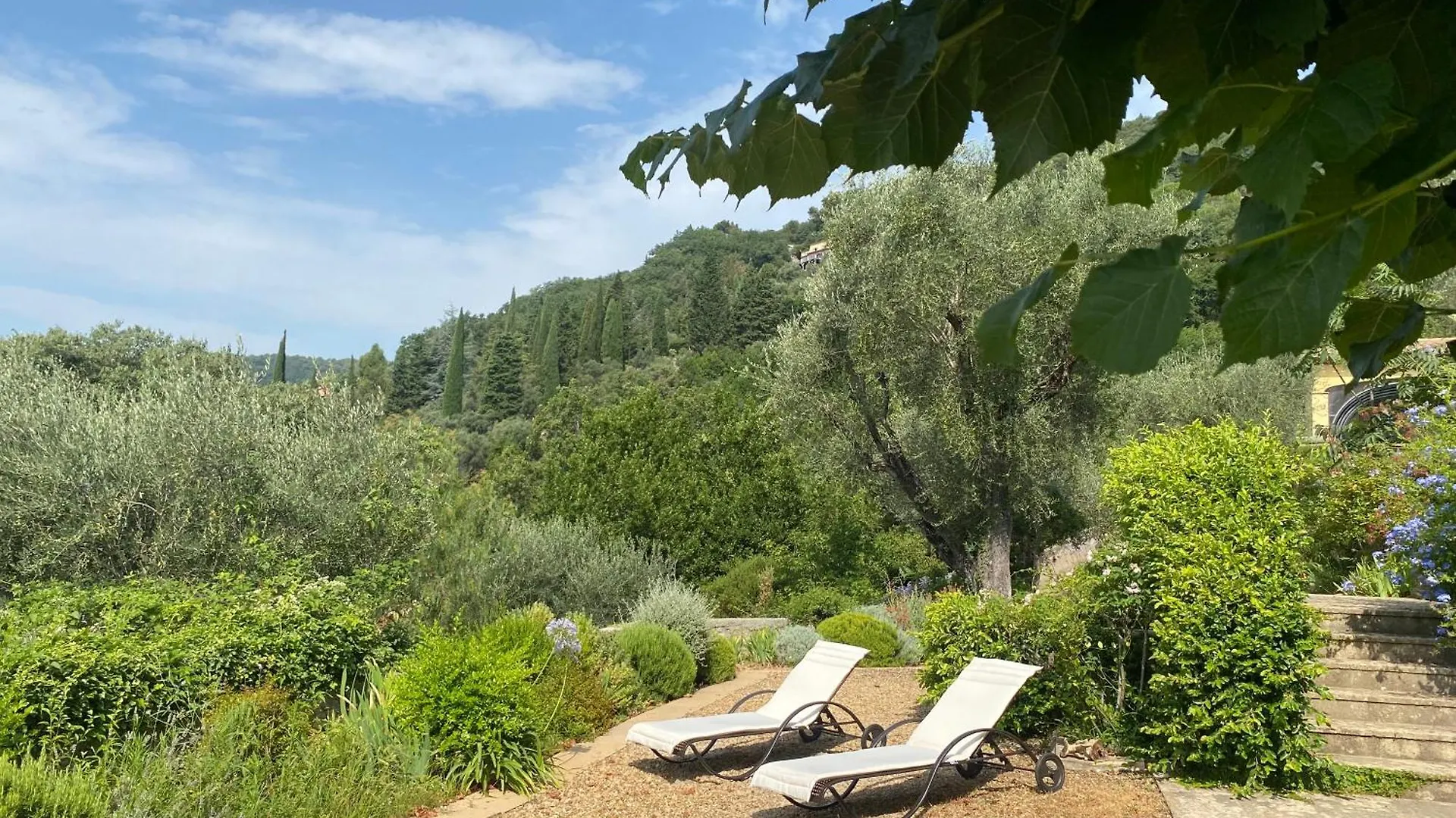 Couette-café La Bastide Sainte Therese Grasse